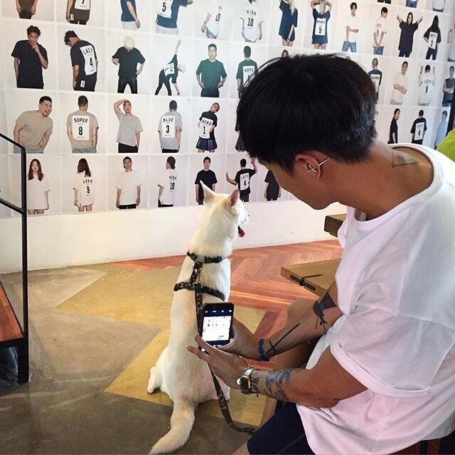 骆柔松丽