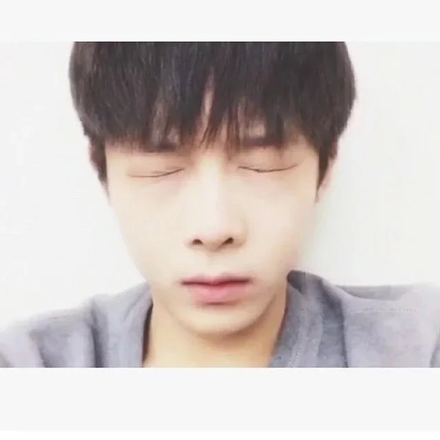 雷维思叶