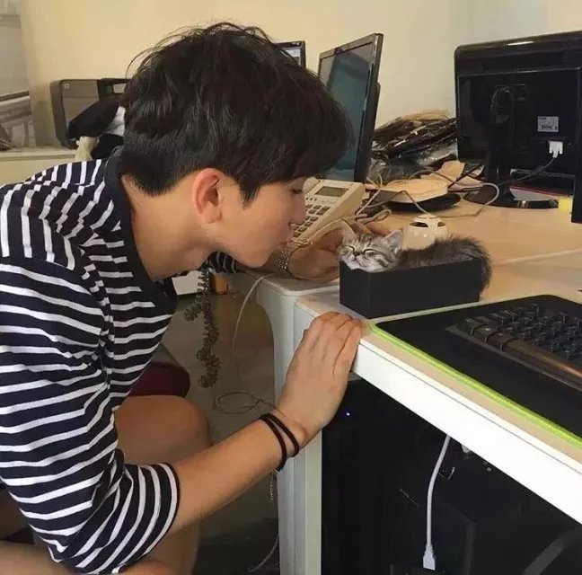 封桂致瑞